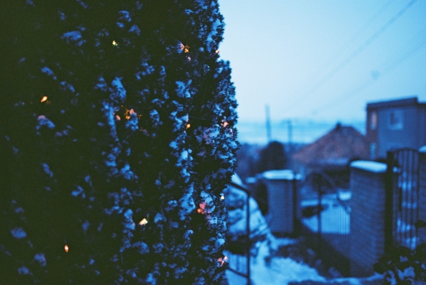 sneh-na-stromoch